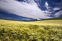 Altri posti